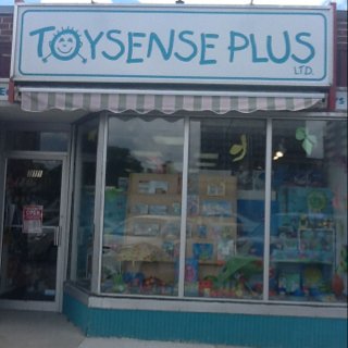 Toysense Plus Ltd