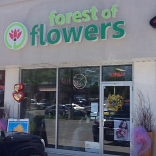 Forest of Flowers